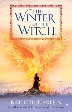 Кэтрин Арден The Winter of the Witch