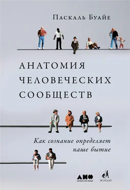 Паскаль Буайе Анатомия человеческих сообществ [Как сознание определяет наше бытие] [litres] обложка книги