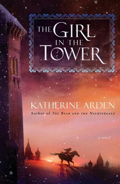 Кэтрин Арден The Girl in the Tower