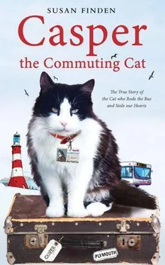 Susan Finden Casper the Commuting Cat: The True Story of the Cat Who Rode the Bus and Stole Our Hearts обложка книги