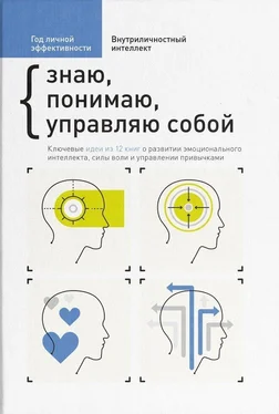 Михаил Иванов Год личной эффективности. Внутриличностный интеллект. Знаю, понимаю, управляю собой обложка книги