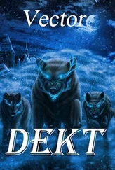 Vector - Dekt (СИ)