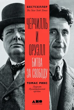 Томас Рикс Черчилль и Оруэлл [Битва за свободу] [litres] обложка книги