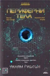 Уильям Гибсон - Периферни тела
