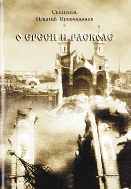 Свтятитель Игнатий Брянчанинов О ереси и расколе обложка книги