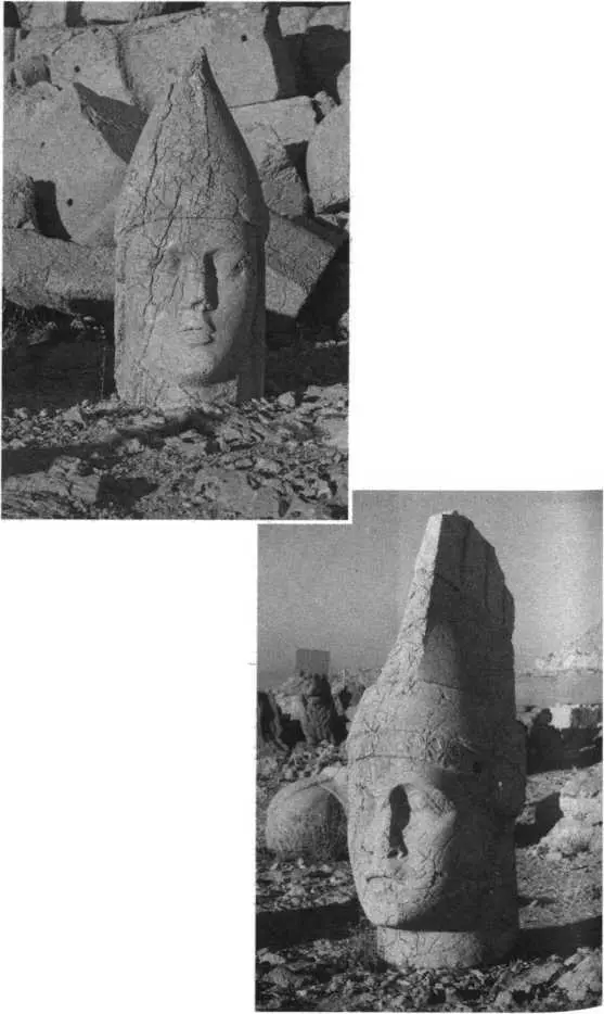 Рис 221 Голова молодого мужчины в шлеме Без усов и бороды Рис 226 - фото 214