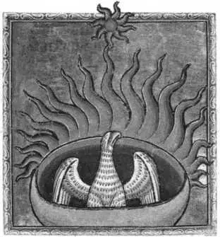 Рис 288 Смерть Феникса сгорающего в пламени Aberdeen Bestiary Взято из - фото 264