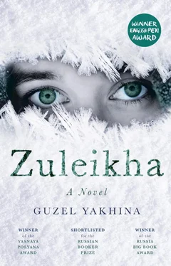 Guzel Yakhina Zuleikha обложка книги