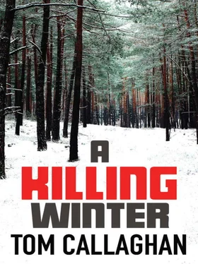 Tom Callaghan A Killing Winter обложка книги