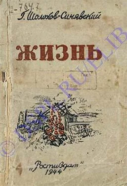 Георгий Шолохов-Синявский Жизнь обложка книги