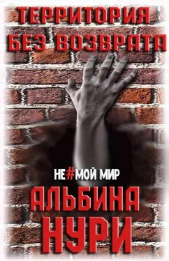 Альбина Нури Территория без возврата обложка книги