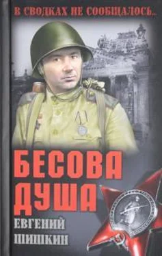Евгений Шишкин Бесова душа обложка книги