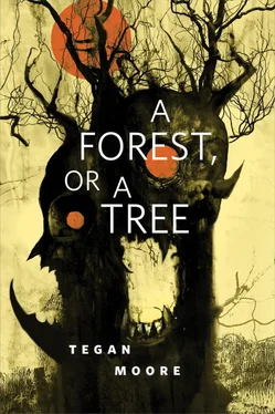 Tegan Moore A Forest, or a Tree обложка книги