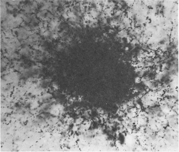 Manmade radioactivity in the atmosphere produced this nuclearemulsion - фото 18