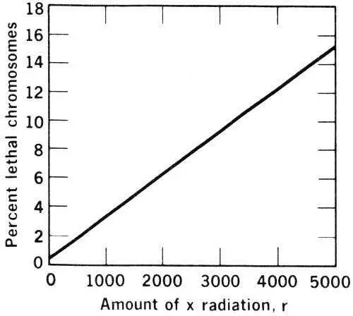 Percent lethal chromosomes vs Amount of x radiation r If the straight line - фото 23