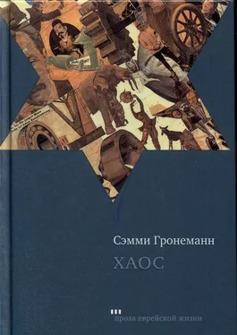 Сэмми Гронеманн Хаос обложка книги