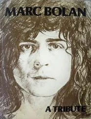 Тед Дикс - Марк Болан
