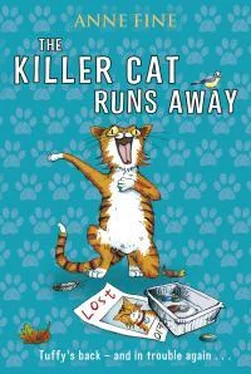 Энн Файн The Killer Cat Runs Away обложка книги