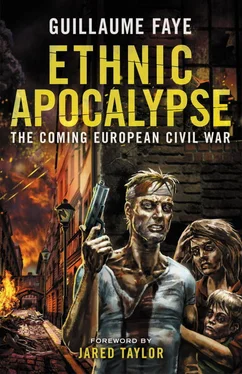 Гийом Фай Ethnic Apocalypse: The Coming European Civil War обложка книги