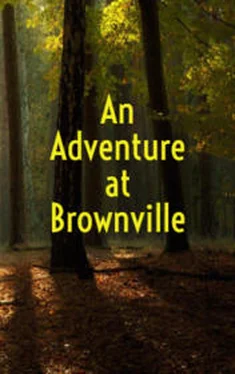 Амброз Бирс An Adventure at Brownville обложка книги