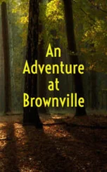 Амброз Бирс - An Adventure at Brownville