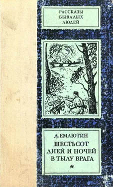 Дмитрий Емлютин Шестьсот дней и ночей в тылу врага обложка книги
