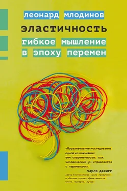 Леонард Млодинов Эластичность. Гибкое мышление в эпоху перемен обложка книги