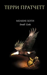 Терри Пратчетт - Мелкие боги [litres]