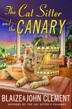 Блейз Клемент The Cat Sitter And The Canary обложка книги