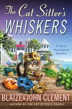 Блейз Клемент The Cat Sitter's Whiskers обложка книги