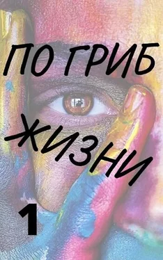 Александр Виленский По гриб жизни обложка книги