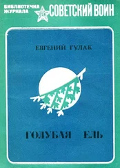 Евгений Гулак - Голубая ель [Рассказы и очерки]