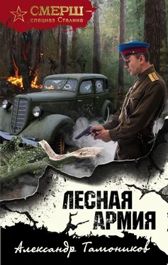 Александр Тамоников Лесная армия [litres] обложка книги