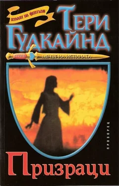 Тери Гудкайнд Призраци обложка книги