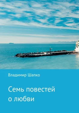 Владимир Шапко Семь повестей о любви обложка книги