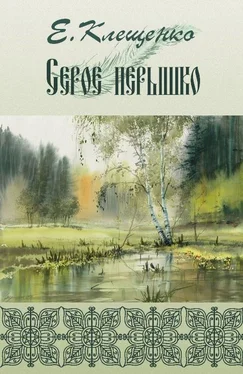 Елена Клещенко Серое перышко обложка книги