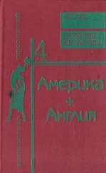 Николас Блейк - Дальний выстрел