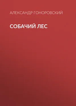 Александр Гоноровский Собачий лес [litres] обложка книги