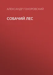 Александр Гоноровский - Собачий лес [litres]