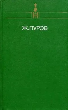 Жамбын Пурэв Гром обложка книги
