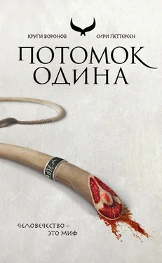 Сири Петтерсен Потомок Одина [litres] обложка книги