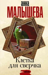 Анна Малышева - Клетка для сверчка