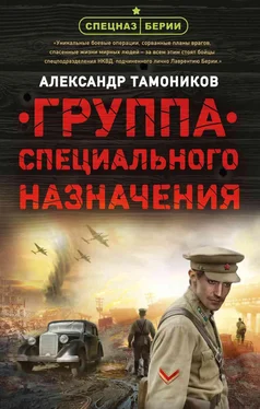 Александр Тамоников Группа специального назначения обложка книги