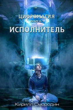 Кирилл Смородин Исполнитель обложка книги