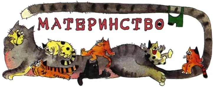 Материнство одно из самых восхитительных состояний в жизни кошек В свое - фото 55