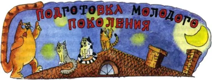 Хотя этот сборник советов и наставлений составлен мной в основном для молодых - фото 83