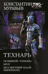 Константин Муравьев - Технарь - Позывной «Технарь». Крот. Бессмертный палач императора [завершённая версия] [сборник litres]