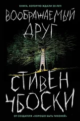 Стивен Чбоски - Воображаемый друг [litres]