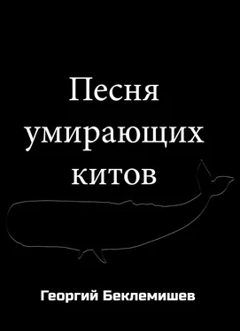 Георгий Беклемишев Песня умирающих китов [СИ] обложка книги