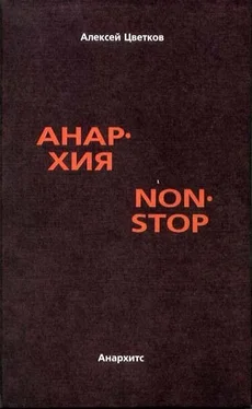 Алексей Цветков Анархия non stop обложка книги